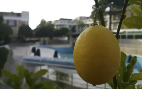 Viešbutis „TU CASA GELIDONYA“ (Kemeras, Turkija)