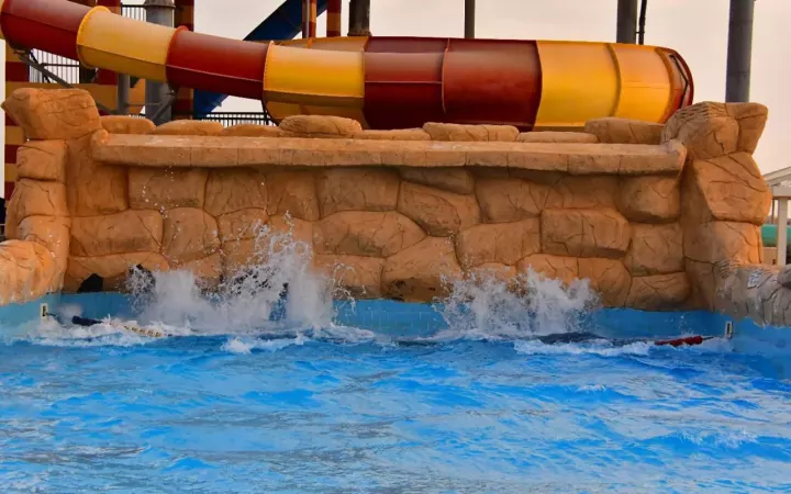 Viešbutis „PARROTEL LAGOON RESORT“ (Sharm el Sheikh, Egiptas)