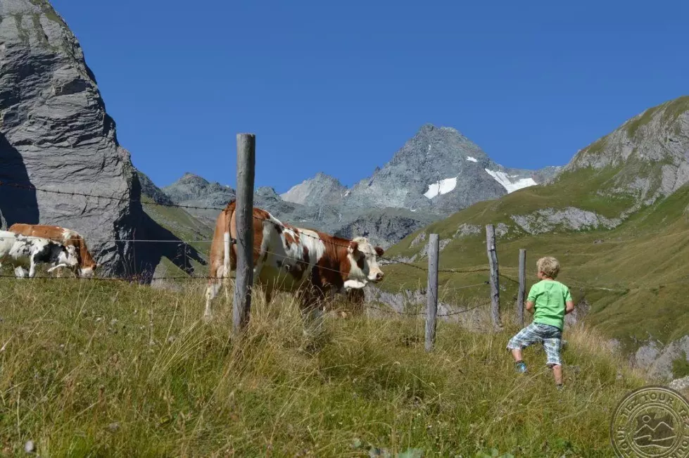 Viešbutis „CHRISTIAN HAUS“