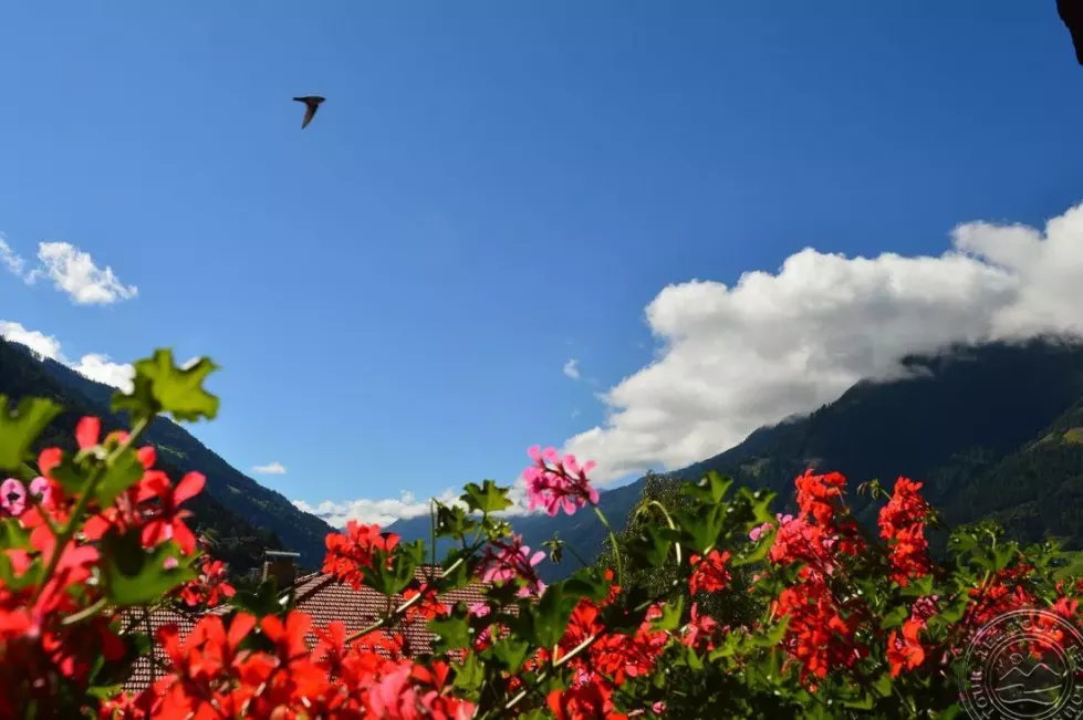 Viešbutis „CHRISTIAN HAUS“