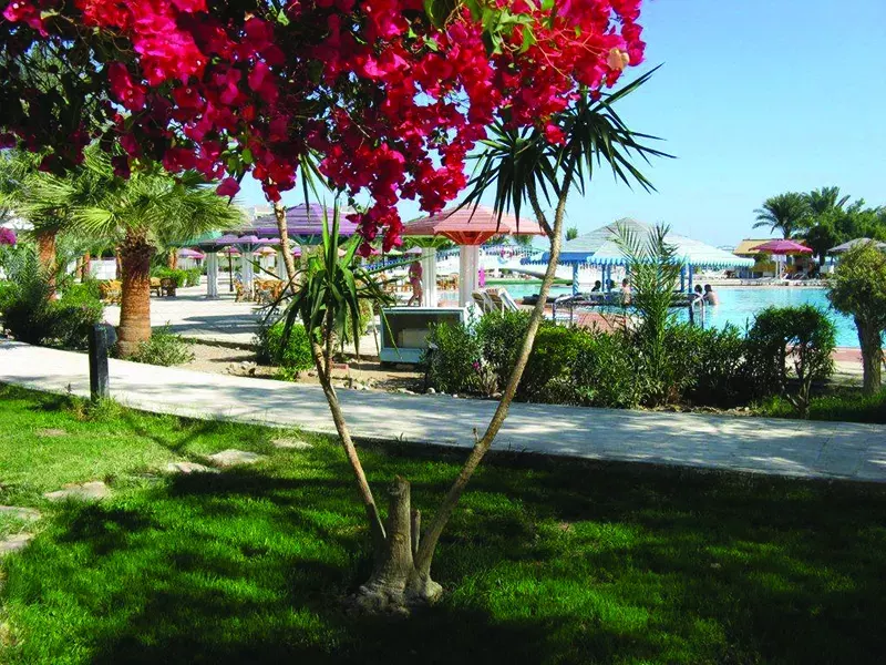 Viešbutis „AMARINA ABU SOMA RESORT & AQUA PARK“ (Hurgada, Egiptas)