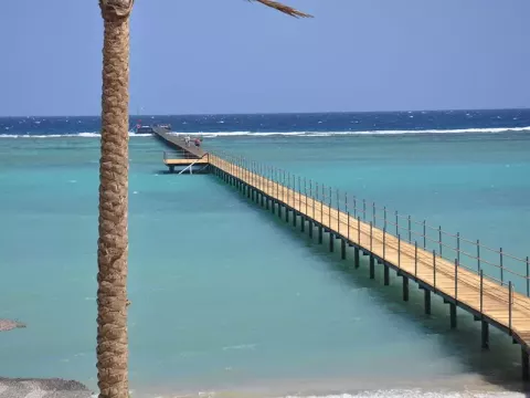 Viešbutis „BLEND ELPHISTON MARSA ALAM“ (Marsa alamas, Hurgada, Egiptas)