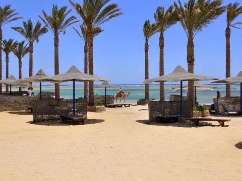 Viešbutis „BLEND ELPHISTON MARSA ALAM“ (Marsa alamas, Hurgada, Egiptas)