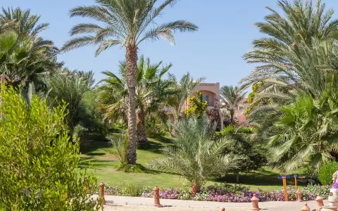 Viešbutis „DREAM LAGOON AQUA PARK AND RESORT“ (Marsa alamas, Hurgada, Egiptas)