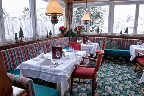 Viešbutis „ALPINA HOTEL“