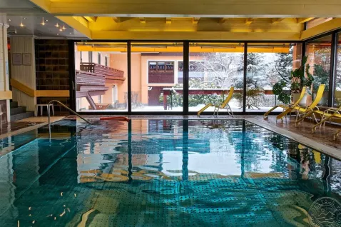 Viešbutis „ALPINA HOTEL“