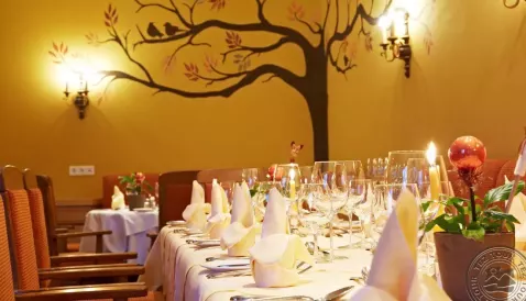 Viešbutis „SAALBACHER HOF HOTEL“