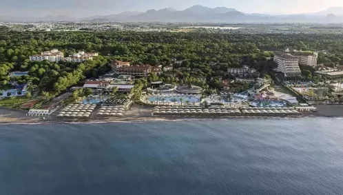 Papillon Belvil, Turkija