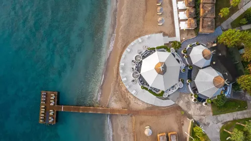 Balmy Foresta, Turkija